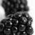 Naked Fruits - Black Berries #1